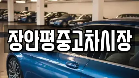 서울특별시 용산구 용산동3가 중고차 전문 장안평중고차시장