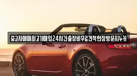 서울특별시 용산구 용산동3가 중고차매입 전문 중고차매매최고가매입24시간출장비무료견적현장방문지누카