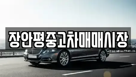 서울특별시 용산구 한강로1가 중고차매매 전문 장안평중고차매매시장