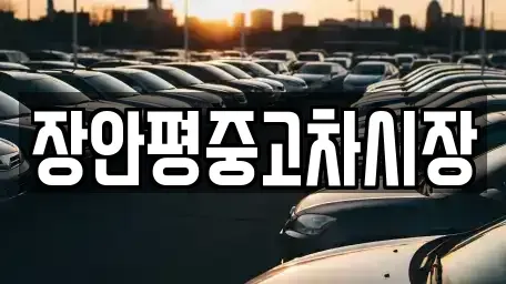 서울특별시 종로구 관수동 중고차 전문 장안평중고차시장