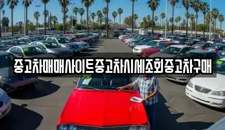 서울특별시 종로구 관수동 중고차 전문 중고차매매사이트중고차시세조회중고차구매