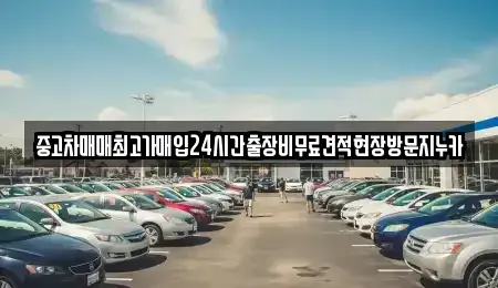 서울특별시 종로구 관수동 중고차 전문 중고차매매최고가매입24시간출장비무료견적현장방문지누카