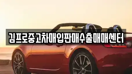 서울특별시 종로구 관수동 중고차매입 전문 김프로중고차매입판매수출매매센터