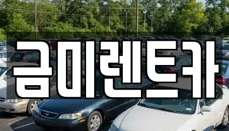서울특별시 종로구 관훈동 렌트카 전문 금미렌트카