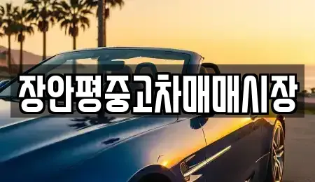 서울특별시 종로구 관훈동 중고차매매 전문 장안평중고차매매시장