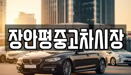 서울특별시 종로구 관훈동 중고차매매 전문 장안평중고차시장