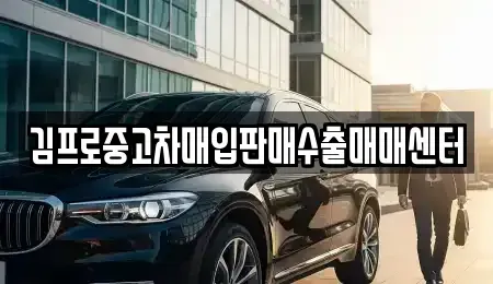 서울특별시 종로구 관훈동 중고차매입 전문 김프로중고차매입판매수출매매센터