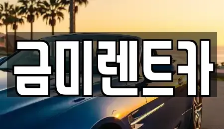 서울특별시 종로구 누하동 렌트카 전문 금미렌트카