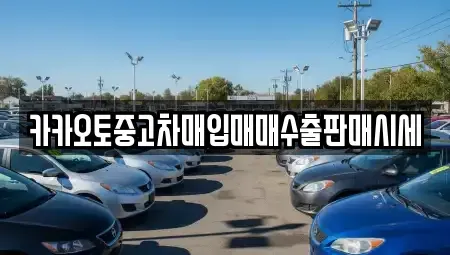 서울특별시 종로구 누하동 중고차매입 전문 카카오토중고차매입매매수출판매시세