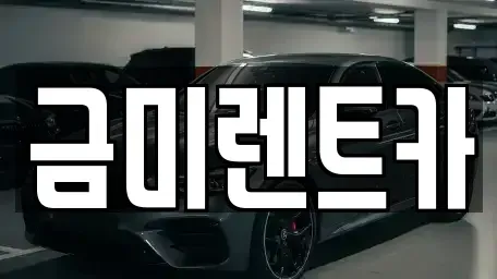 서울특별시 종로구 원서동 렌트카 전문 금미렌트카