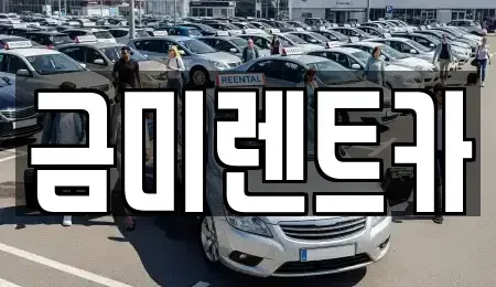 서울특별시 종로구 장사동 렌트카 전문 금미렌트카