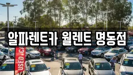 서울특별시 종로구 장사동 렌트카 전문 알파렌트카 월렌트 명동점