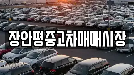 서울특별시 종로구 혜화동 중고차 전문 장안평중고차매매시장