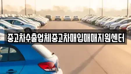 서울특별시 종로구 혜화동 중고차 전문 중고차수출업체중고차매입매매지원센터