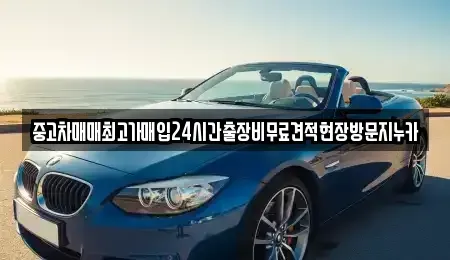 서울특별시 종로구 혜화동 중고차매입 전문 중고차매매최고가매입24시간출장비무료견적현장방문지누카