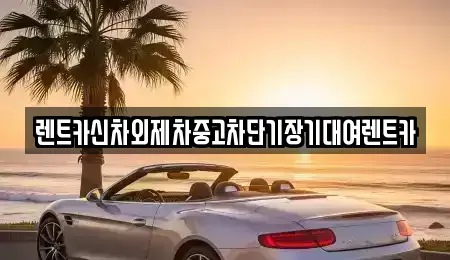 서울특별시 종로구 효제동 단기렌트카,중고차매입,중고차매매,중고차,렌트카,장기렌트카