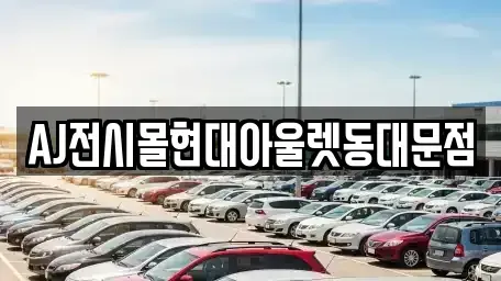 서울특별시 종로구 효제동 렌트카 전문 AJ전시몰현대아울렛동대문점