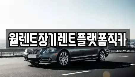 서울특별시 종로구 효제동 장기렌트카 전문 월렌트장기렌트플랫폼직카
