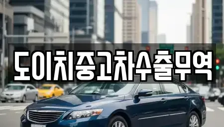 서울특별시 종로구 효제동 중고차매매 전문 도이치중고차수출무역