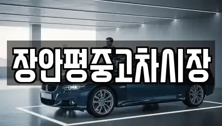 서울특별시 종로구 효제동 중고차매매 전문 장안평중고차시장