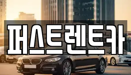 서울특별시 중구 명동2가 렌트카 전문 퍼스트렌트카