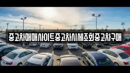 서울특별시 중구 명동2가 중고차 전문 중고차매매사이트중고차시세조회중고차구매
