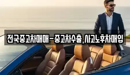 서울특별시 중구 명동2가 중고차매입 전문 전국중고차매매-중고차수출,사고노후차매입