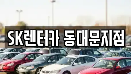 서울특별시 중구 오장동 렌트카 전문 SK렌터카 동대문지점