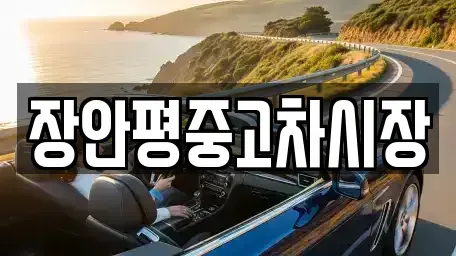 서울특별시 중구 오장동 중고차매매 전문 장안평중고차시장
