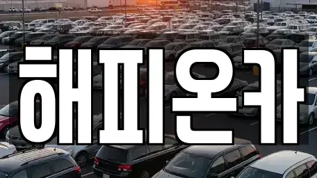 서울특별시 중구 오장동 중고차매매 전문 해피온카