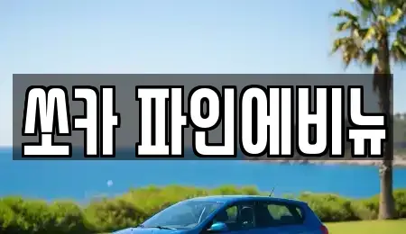 서울특별시 중구 을지로2가 렌트카 전문 쏘카 파인에비뉴