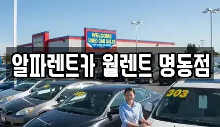 서울특별시 중구 을지로2가 렌트카 전문 알파렌트카 월렌트 명동점