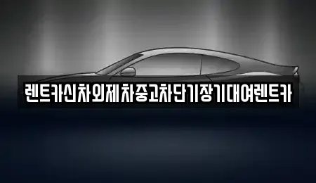 서울특별시 중구 을지로2가 장기렌트카 전문 렌트카신차외제차중고차단기장기대여렌트카