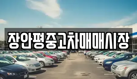 서울특별시 중구 을지로2가 중고차 전문 장안평중고차매매시장