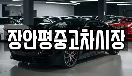 서울특별시 중구 을지로2가 중고차 전문 장안평중고차시장
