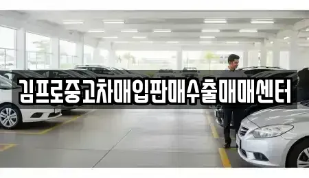 서울특별시 중구 을지로2가 중고차매입 전문 김프로중고차매입판매수출매매센터