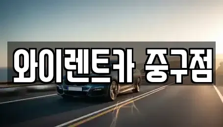 서울특별시 중구 을지로5가 렌트카 전문 와이렌트카 중구점