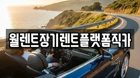 서울특별시 중구 을지로5가 장기렌트카 전문 월렌트장기렌트플랫폼직카