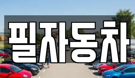 서울특별시 중구 을지로5가 중고차 전문 필자동차