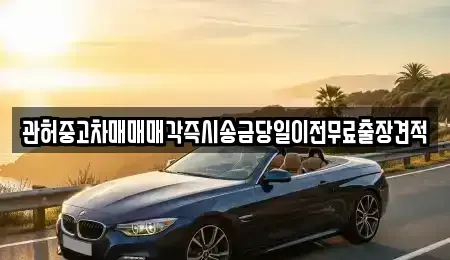 서울특별시 중구 을지로5가 중고차매매 전문 관허중고차매매매각즉시송금당일이전무료출장견적