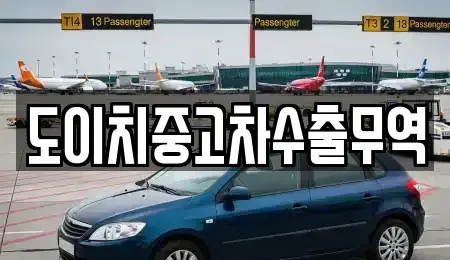 서울특별시 중구 을지로5가 중고차매매 전문 도이치중고차수출무역