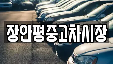 서울특별시 중구 을지로5가 중고차매매 전문 장안평중고차시장