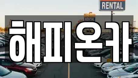 서울특별시 중구 을지로5가 중고차매매 전문 해피온카