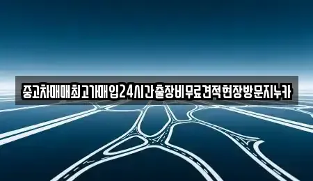 서울특별시 중구 을지로5가 중고차매입 전문 중고차매매최고가매입24시간출장비무료견적현장방문지누카