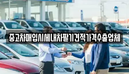 서울특별시 중구 을지로5가 중고차매입 전문 중고차매입시세내차팔기견적가격수출업체