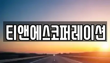 서울특별시 중구 저동2가 렌트카 전문 티앤에스코퍼레이션