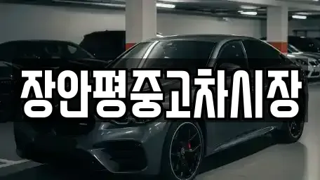 서울특별시 중구 저동2가 중고차매매 전문 장안평중고차시장