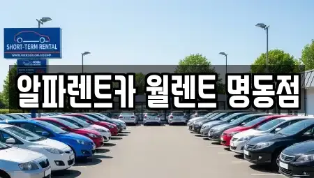 서울특별시 중구 초동 렌트카 전문 알파렌트카 월렌트 명동점