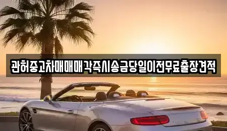 서울특별시 중구 초동 중고차매매 전문 관허중고차매매매각즉시송금당일이전무료출장견적