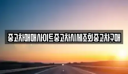서울특별시 중구 초동 중고차매매 전문 중고차매매사이트중고차시세조회중고차구매